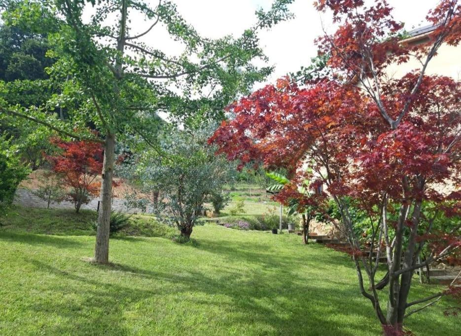 Istanti - Salvia Apartment Costigliole Saluzzo Ngoại thất bức ảnh