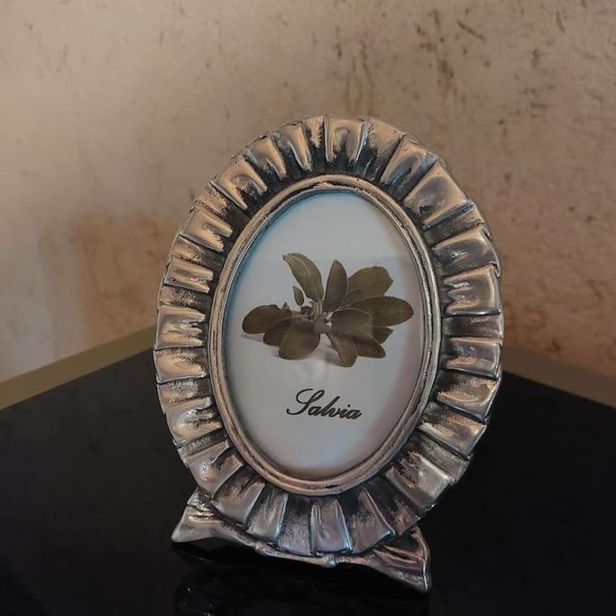 Istanti - Salvia Apartment Costigliole Saluzzo Ngoại thất bức ảnh